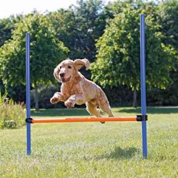 Trixie Agility Hurdle Spring med Justerbar Højde